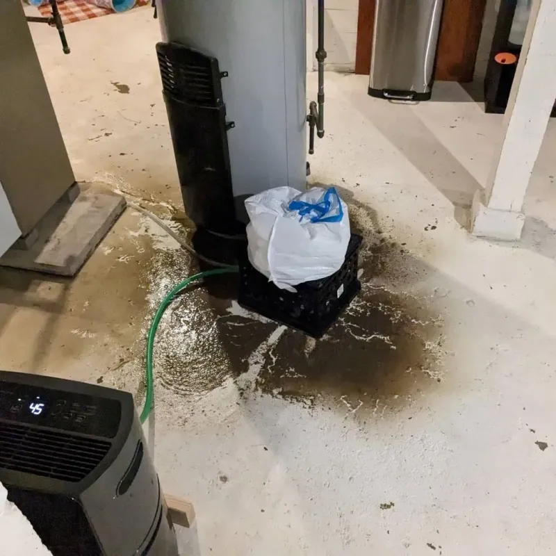 Sewage Backup Cleanup Service in Hayneville, AL